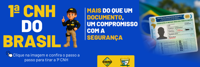 PASSO A PASSO PARA 1ª CNH DO BRASIL